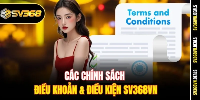 Các chính sách điều khoản & điều kiện SV368vn