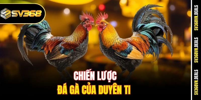 Chiến lược đá gà của Duyên Ti
