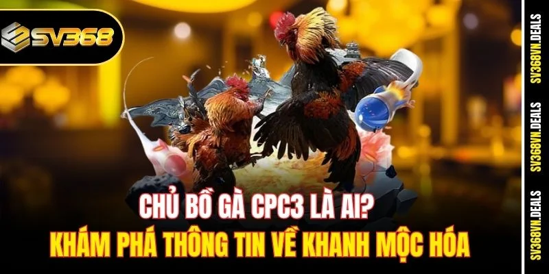 Chủ bồ gà CPC3 là ai?