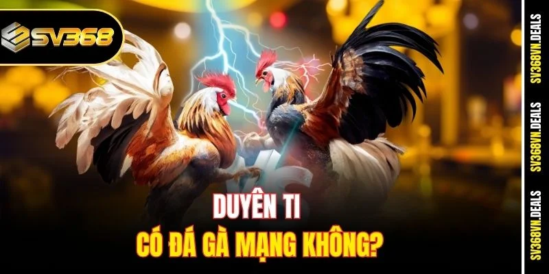 Duyên Ti có đá gà mạng không