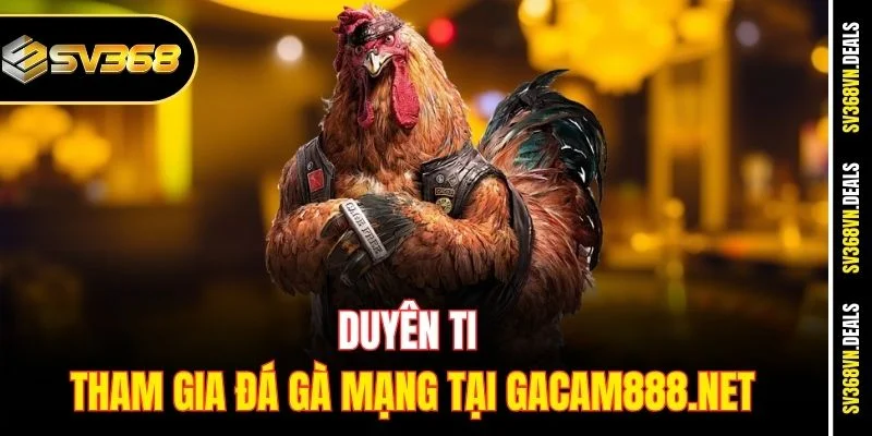 Duyên Ti tham gia đá gà mạng tại Gacam888.net