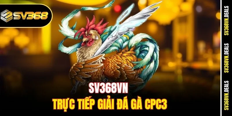 SV368VN trực tiếp giải đá gà CPC3