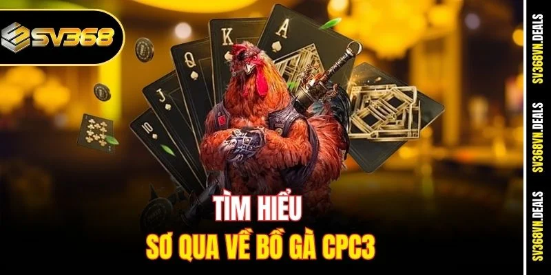 Tìm hiểu sơ qua về bồ gà CPC3